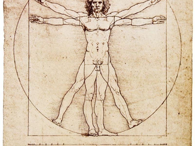 Leonardo da Vinci: de mens van Vitruvius