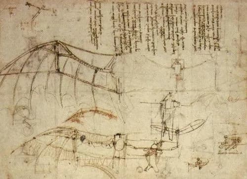 Leonardo da Vincis schetsen voor een “vliegende machine” waren gebaseerd op observaties van vogels