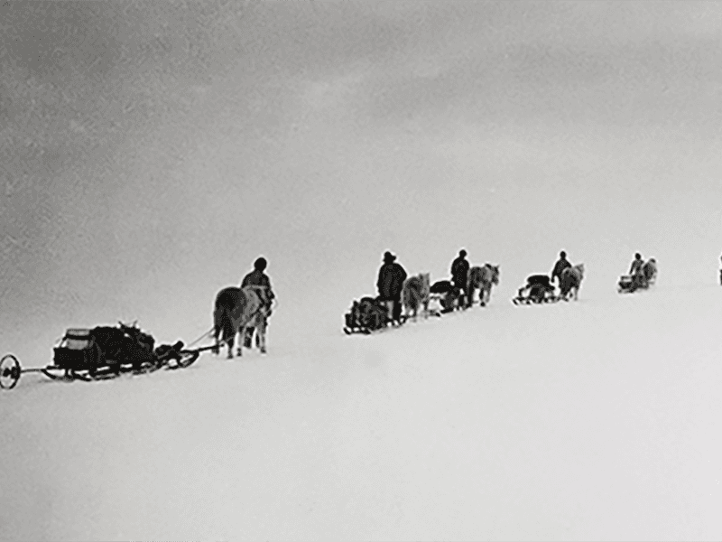 Robert Falcon Scott met pony