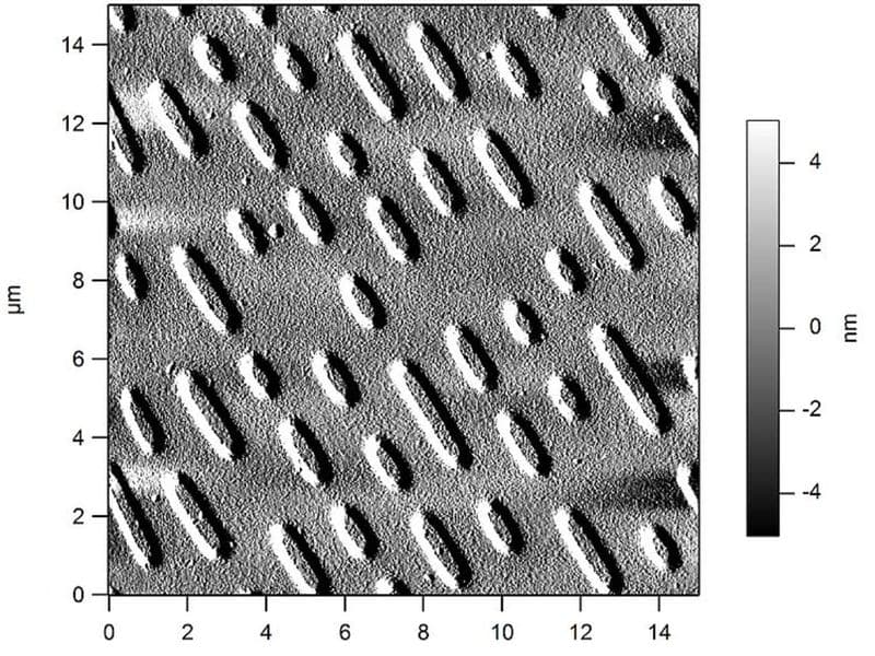 CD onder een elektronenmicroscoop