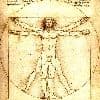 Anatomie - Leonardo da Vinci